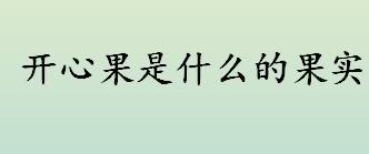 开心果是什么的果实？开心果树长什么样？开心果的营养价值介绍