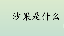 沙果是什么 沙果的口感如何 沙果的营养成分介绍