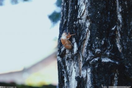 南京今年完成5大灾种、3大类重要承灾体清查调查任务