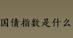 国债指数是什么 上证国债指数什么时候发布的