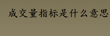 成交量指标是什么意思 成交量指标换手率的参考数值是多少