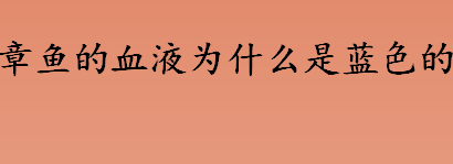 章鱼的血液为什么是蓝色的？血蓝蛋白是什么？