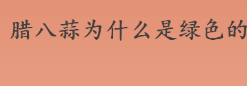 腊八蒜为什么是绿色的？腊八蒜怎么腌制？绿色的腊八蒜有毒吗？