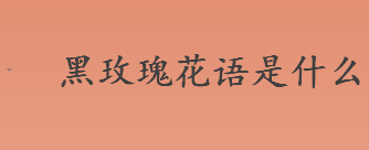 黑玫瑰花语是什么？黑玫瑰花语及寓意介绍