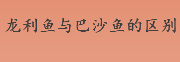 龙利鱼与巴沙鱼的区别有哪些 龙利鱼与巴沙鱼哪个好吃