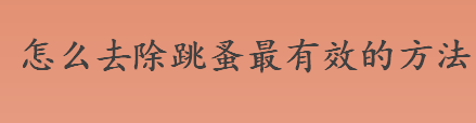 怎么去除跳蚤最有效的方法 最有效除跳蚤的方法是什么