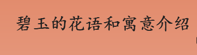 碧玉的颜色是什么？碧玉的花语和寓意介绍 