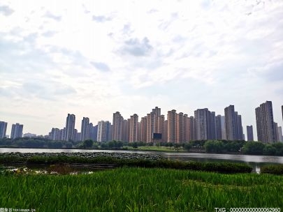 南昌桃花河岸被开垦许多菜地且散布垃圾 执法人员铲除菜地