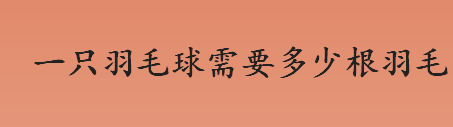 一只羽毛球需要多少根羽毛 羽毛球上有几根羽毛