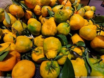 保山市芒宽乡因地制宜发展热带特色水果产业：万亩柑橘助增收