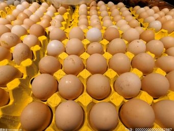 平均一天吃4个鸡蛋胆囊长满结石是怎么回事 鸡蛋一天最多能吃几个