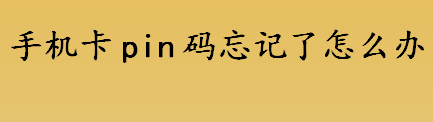 手机卡pin码忘记了怎么办 手机卡pin码是什么