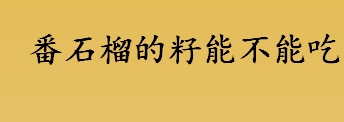 番石榴的籽能不能吃 番石榴红心和白心番石榴哪个好吃