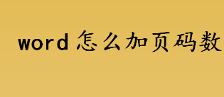 word怎么加页码数 word页码数的设置方法