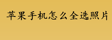 苹果手机怎么全选照片 苹果手机全选照片的方法介绍