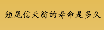 短尾信天翁的寿命是多久？短尾信天翁刚出生时是什么颜色？ 