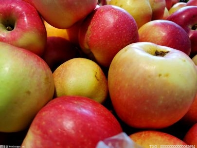 云南苹果出口量连续两月居全国前列 80%以上来自昭通