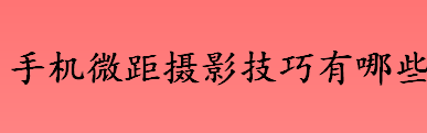 手机微距拍摄在选景时要注意什么 手机微距摄影技巧介绍