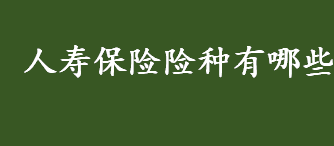 人寿保险险种有哪些 人寿保险险种盘点