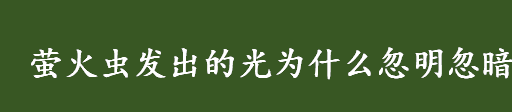 萤火虫发出的光为什么忽明忽暗？萤火虫的发光原理是什么？