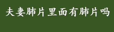 夫妻肺片里面有肺片吗 夫妻肺片是哪里的美食 