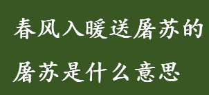 春风入暖送屠苏的屠苏是什么意思 春风入暖送屠苏的作者是谁