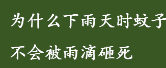 为什么蚊子不会被雨滴砸死 为什么下雨天时蚊子不会被雨滴砸死