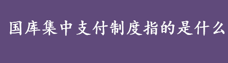 国库集中支付制度指的是什么 国库集中支付制度简介