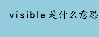 visible是什么意思？VB中的visible是什么意思