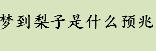 梦到梨子是什么预兆 上学的人梦见梨子代表什么意思