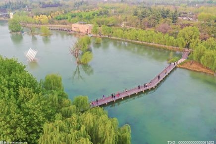 邯郸市唯一！临漳县入选河北省首批省级生态园林城名单