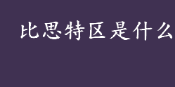 比思特区是什么 比思论坛是什么意思