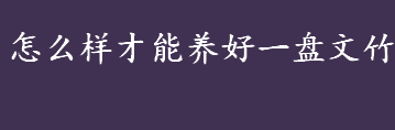 怎么样才能养好一盘文竹？文竹什么季节分株？文竹的养护方法介绍