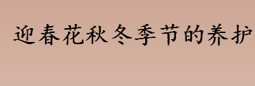 迎春花秋冬季节如何养护？迎春花秋冬季节的养护小技巧