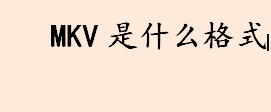 mkv是什么格式？.MKV是什么格式？Matroska的文件扩展名是什么？