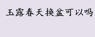 玉露春天换盆可以吗 玉露春天换盆还能养活吗