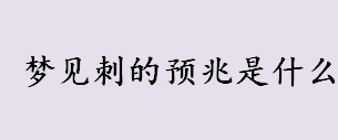 梦见刺的预兆是什么？不同的人梦见刺的预兆解析