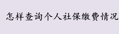 怎样查询个人社保缴费情况 个人社保缴费情况的查询方法介绍