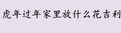 虎年过年家里放什么花吉利？七叶莲、红掌适合过年放家里吗？