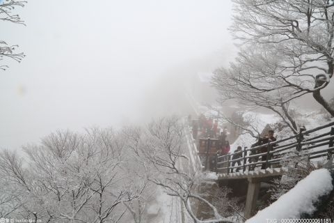 南京将有大到暴雪 各区积极行动“迎战”即将到来的雨雪天气