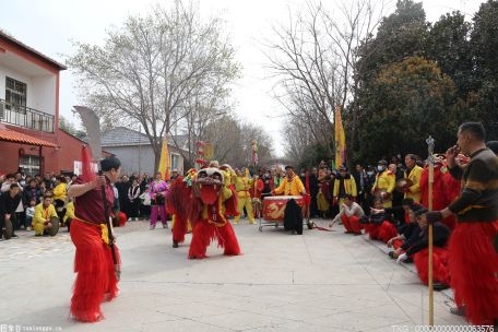 溧水青锋村锣鼓喧天 何林坊双龙新春起舞