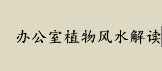 办公室植物风水讲究有哪些？办公室植物风水解读