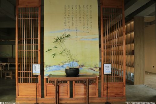 临近春节，清远市清新区龙颈镇乡村文化展示馆热闹异常