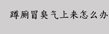 蹲厕冒臭气上来怎么办？蹲厕冒臭气上来怎么解决？