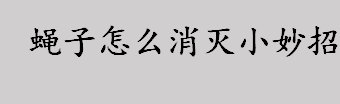 蝇子怎么消灭小妙招 消灭苍蝇的小妙招有哪些