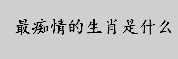 最痴情的生肖是什么？最痴情的生肖有哪些？属马人痴情吗?