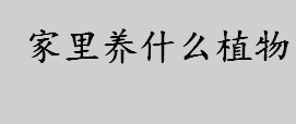 快递肉类食物怎么保存？生肉和一些新鲜肉类怎么快递？