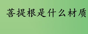 菩提根是什么材质 菩提根的生命周期是多久