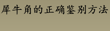 犀牛角的正确鉴别方法介绍 犀牛角真伪辨别方法