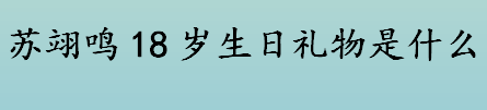 苏翊鸣18岁生日礼物是什么 苏翊鸣个人资料简介